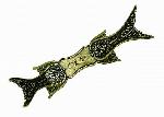 drk pistole